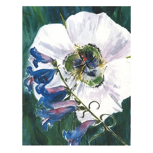 Sego Lilly and Mountain Penstemon