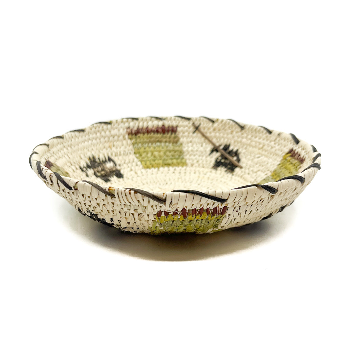 Saguaro Fruit Harvest Basket