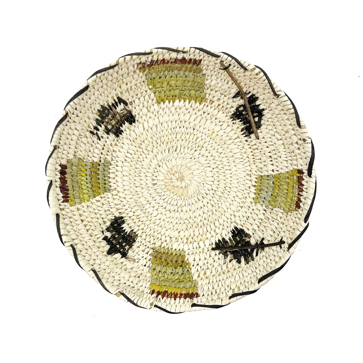 Saguaro Fruit Harvest Basket