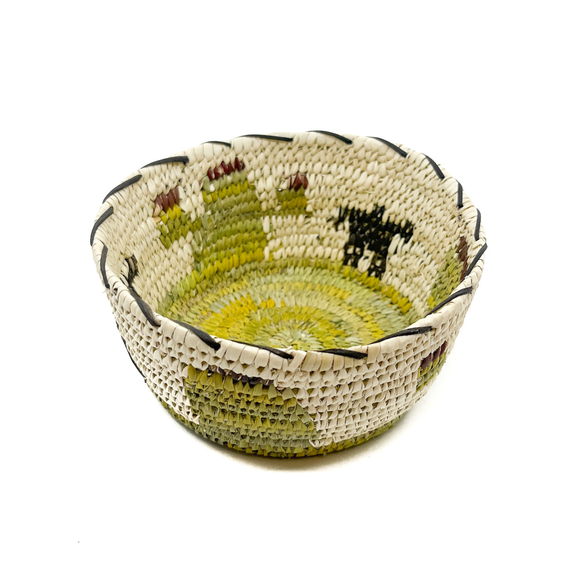 Pictorial Bowl - Saguaro Fruit Harvest Basket