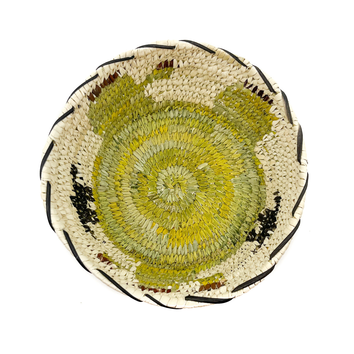 Pictorial Bowl - Saguaro Fruit Harvest Basket