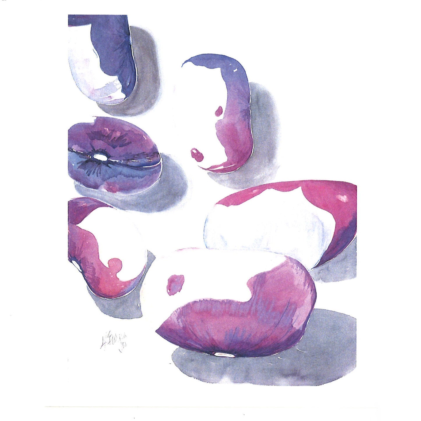 Blank notecard featuring a print of the watercolor painting "Boy's Beauties"&nbsp;heirloom beans by Tucson artist Martha Ames Burgess. On the reverse side of each card there is a detailed description of the subject. Card measures 4x5 inches and includes a white envelope.