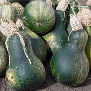 Calabasa de las Aguas