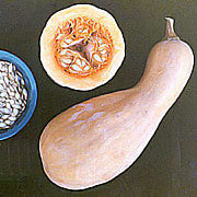 Carrizo