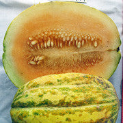 Hopi Casaba