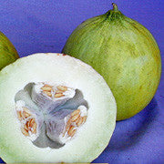 Santo Domingo Casaba