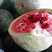 T' Uwi' In