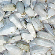 Rarámuri White