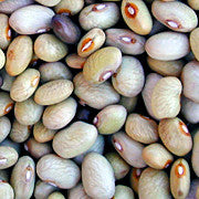Rarámuri Azufrado