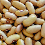Rarámuri Canario
