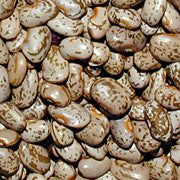 Rarámuri Mantequilla