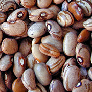 Rarámuri Ojo de Cabra