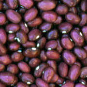 Sitakame Morado