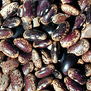 Gusi Jimani