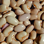 Rarámuri Vayo