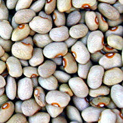Vayo Blanco