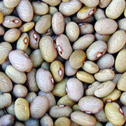 Vayitos Bolas