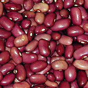 Mountain Pima Plum