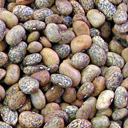 Blue Speckled