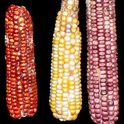 Hernandez Red Mix