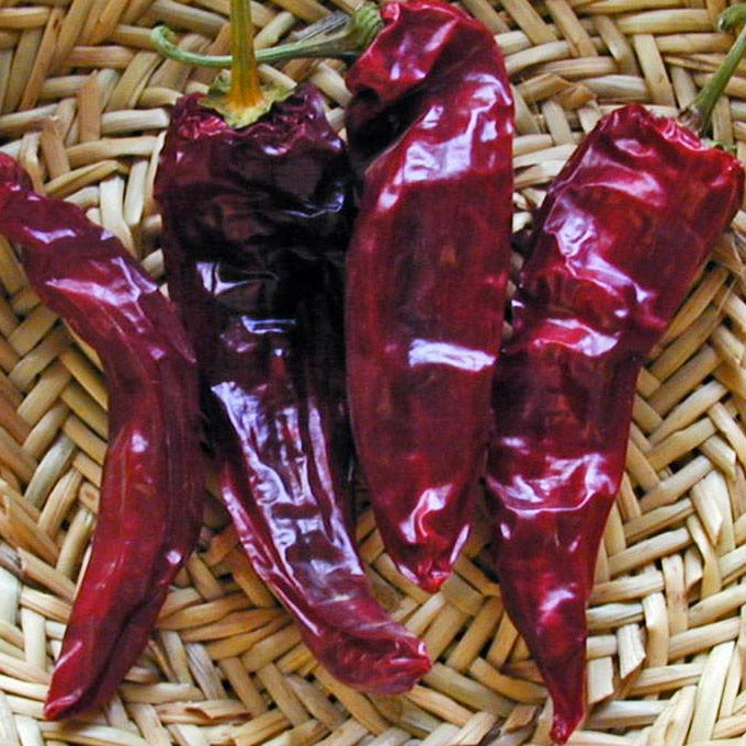Zia Pueblo Mix