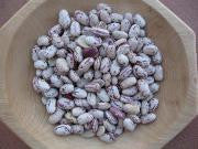 Cranberry Beans - Heirloom