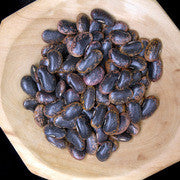Scarlet Runner Beans - Heirloom