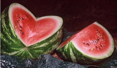 Crimson Sweet Watermelon