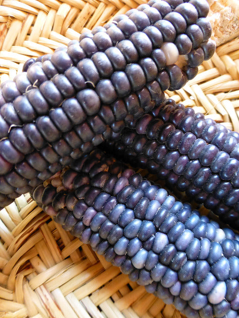 Sakwapu