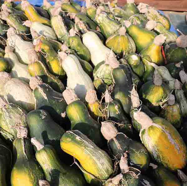 Calabasa de las Aguas