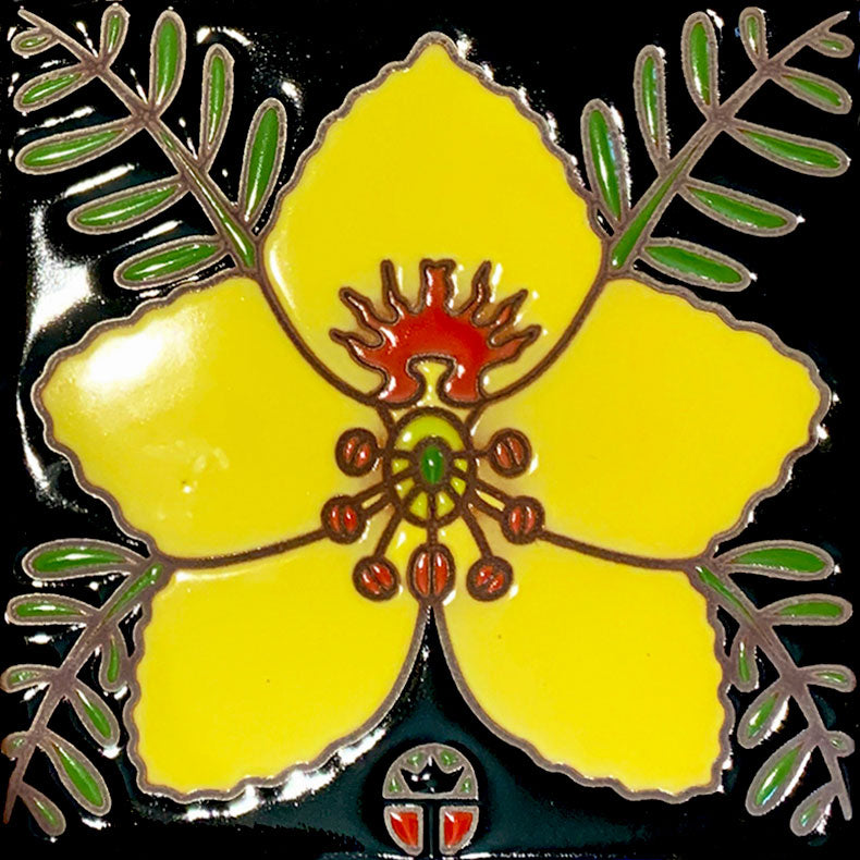 yellow palo verde blossom and leaves on black background ceramic tile by wil taylor