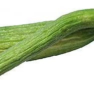 Armenian Yard Long