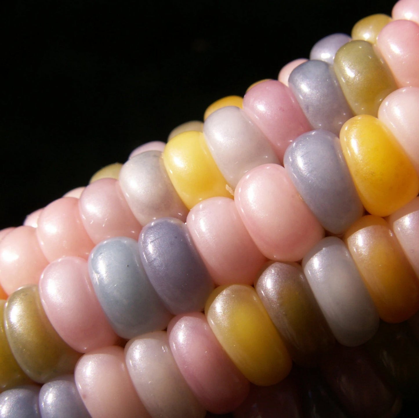 glass gem corn