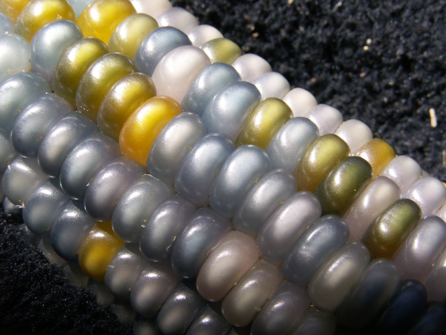 glass gem corn