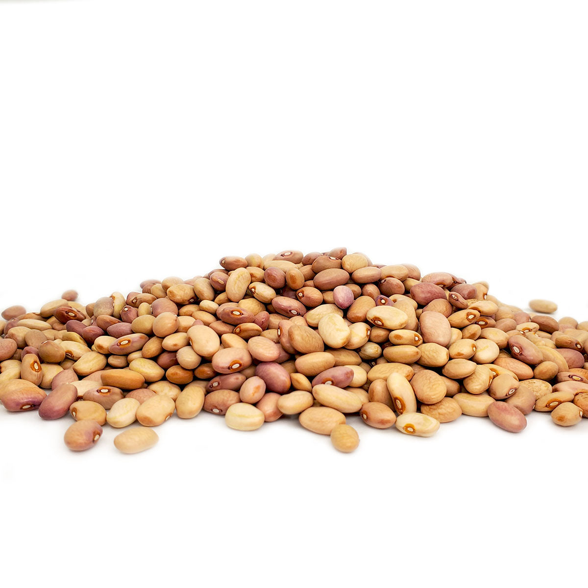 Delicious roundish beans in shades of beige and tan, grown for centuries by the traditional Hispanic communities of northern New Mexico. Similar to pinto, they make wonderful refried beans. 1 lb bag.