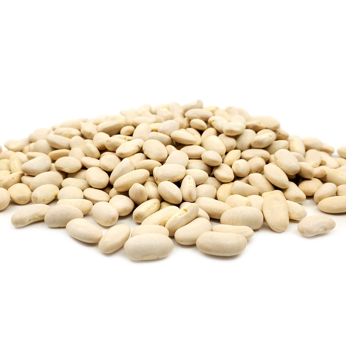 This classic Italian white bean is perfect for minestrone and was first grown in this country in the 1820's. This bean has a nutty flavor and is delicious either eaten hot or in a cold, creamy salad. 1 lb bag.