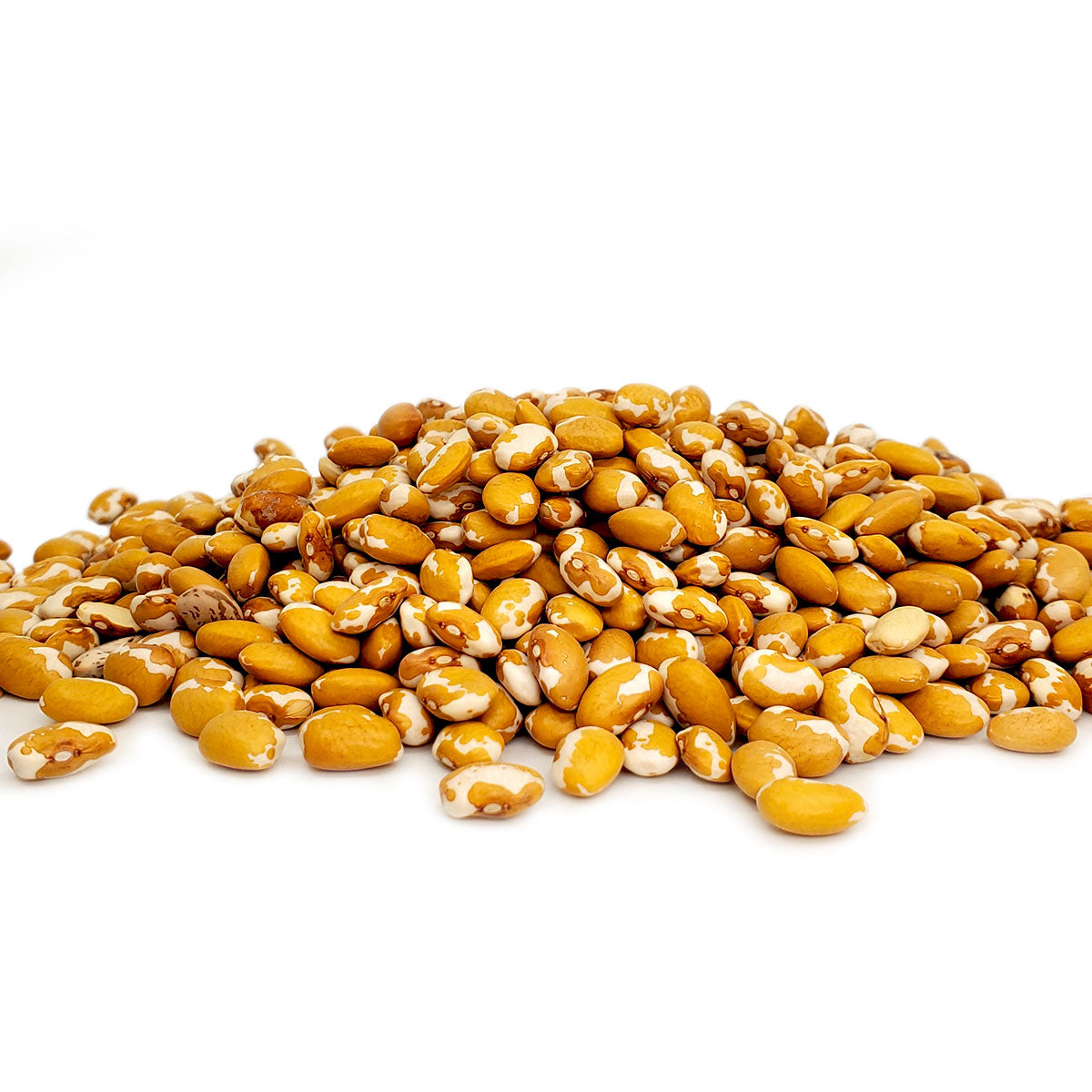 A rich gold-colored bean mottled with a little white from the Four Corners area. Also known as "Zuni Gold". Cooks quickly. 1 lb bag.