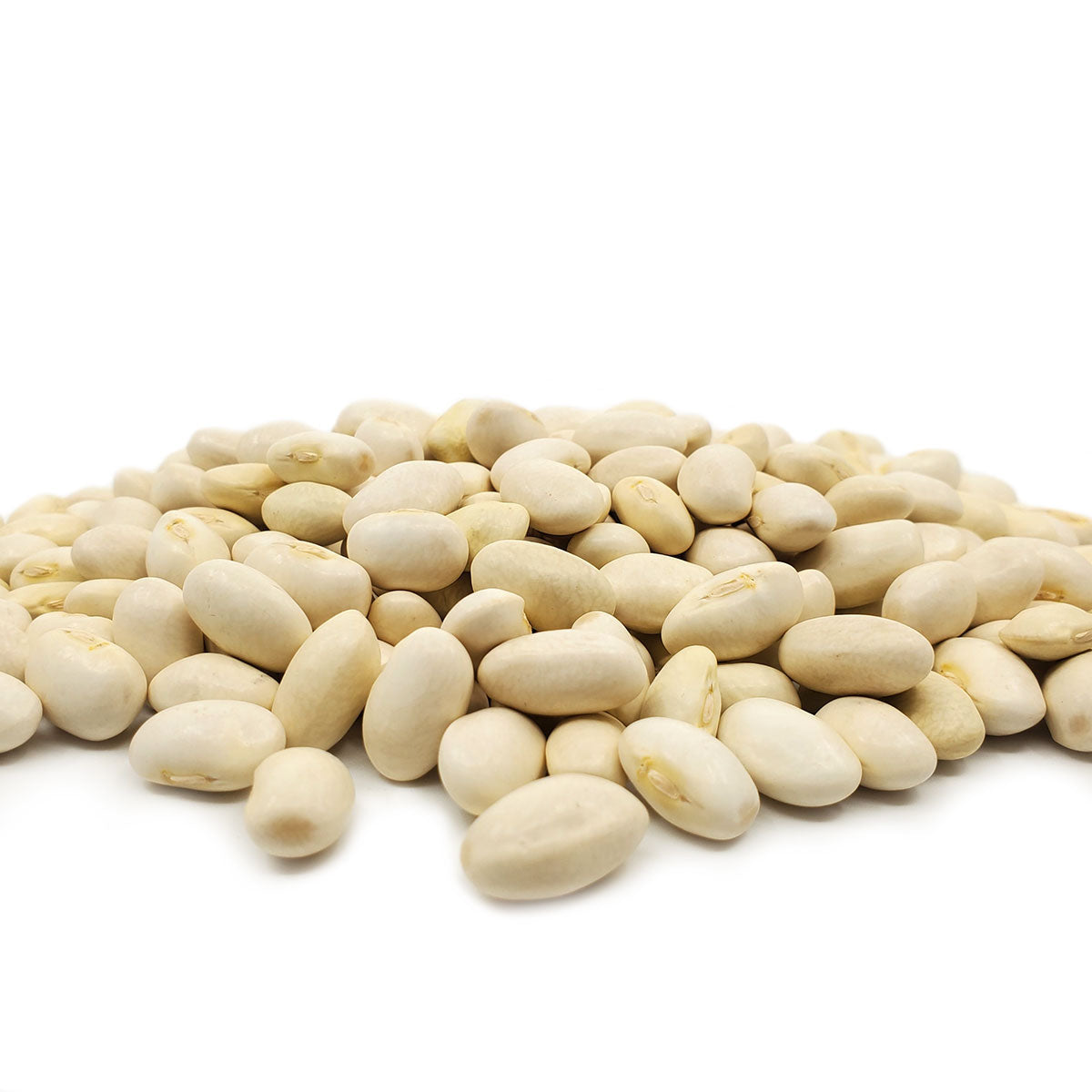 Named White Bordal beans they are also known as Mortgage Lifters due to their enormous size. Cook up similar to limas. Meaty texture and a good alternative because they are very satisfying to eat. 1 lb bag.
