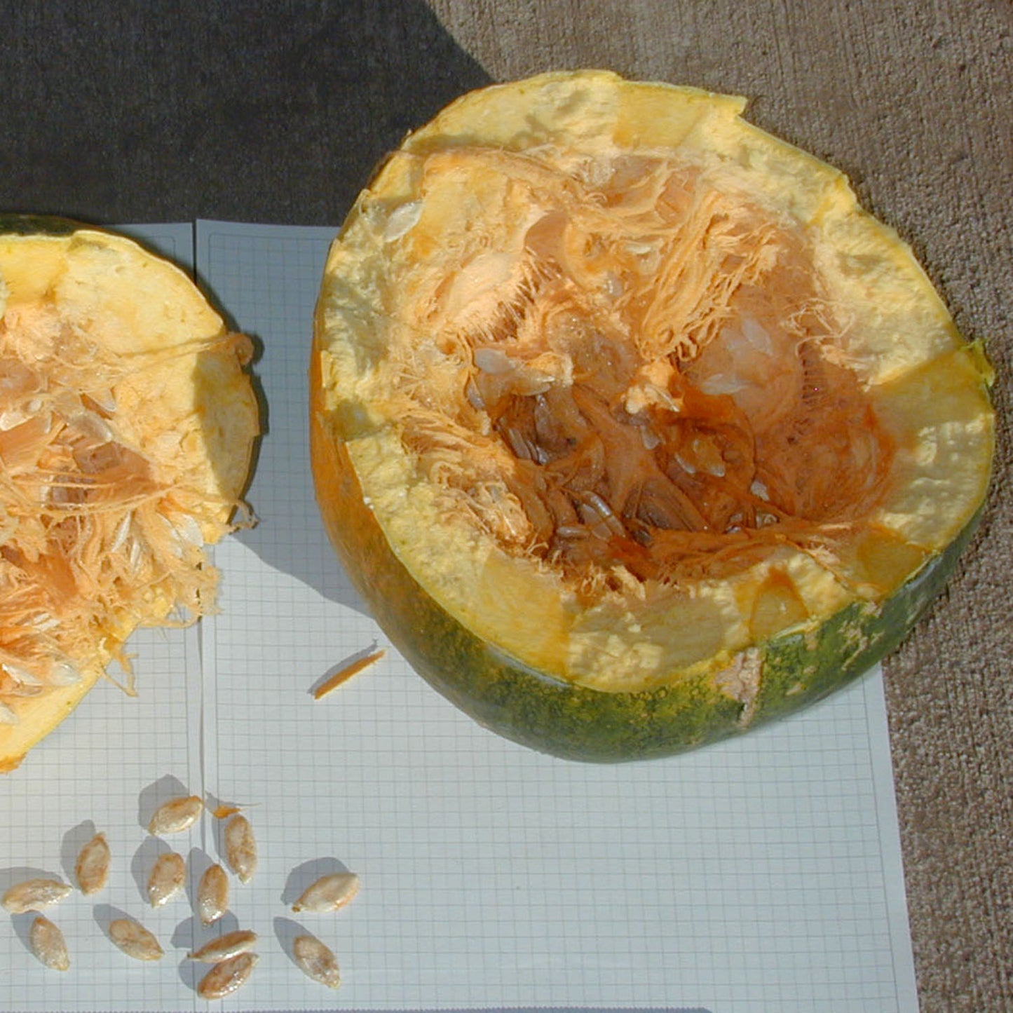 Calabasa de las Aguas