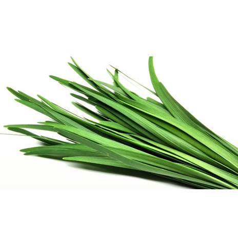 Garlic Chives
