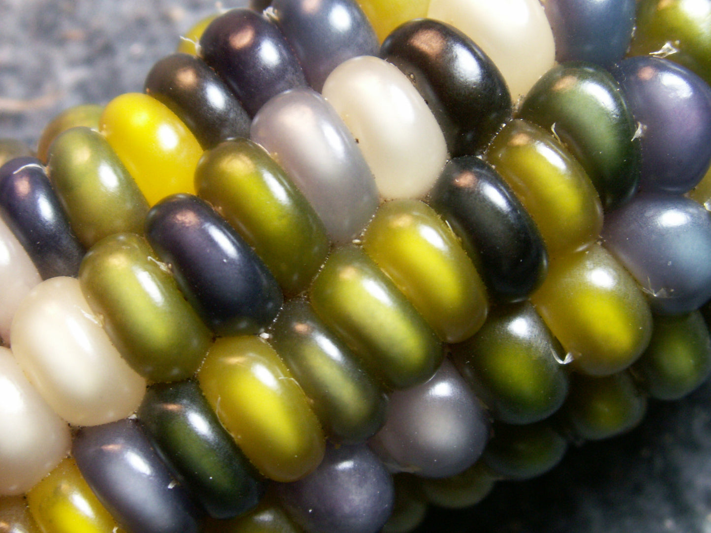 glass gem corn