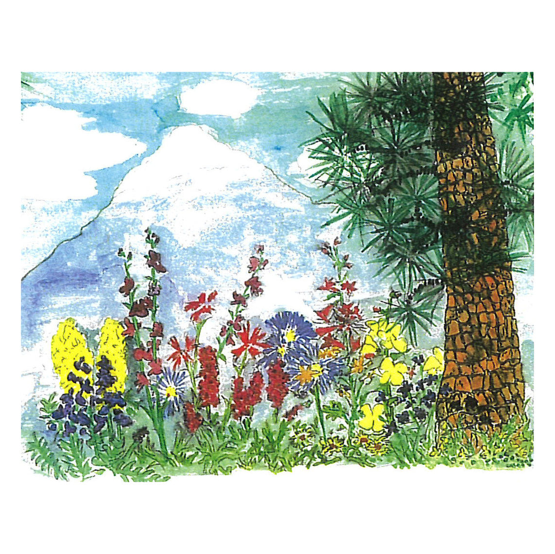 Mountain Meadow Wildflower Mix