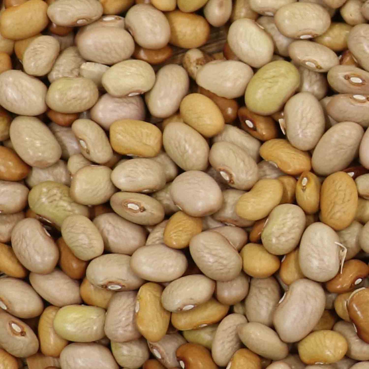 Vayitos Bolas