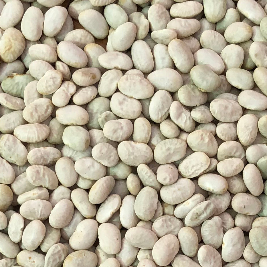 Sacaton White