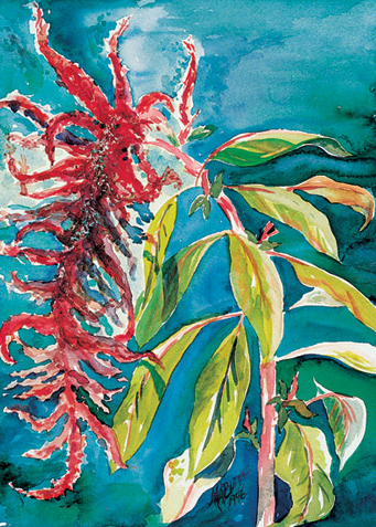 Blank notecard, featuring a print of the watercolor painting&nbsp;"Hopi Red Amaranth"&nbsp;by Tucson artists Martha Ames Burgess and Virginia Wade Ames. On the reverse side of each card, there is a detailed description of the subject. Card is 4x5 inches and includes a white envelope.