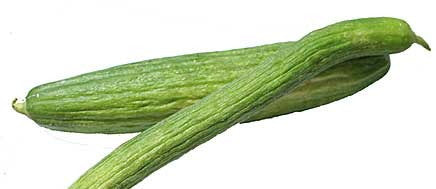 Armenian Yard Long
