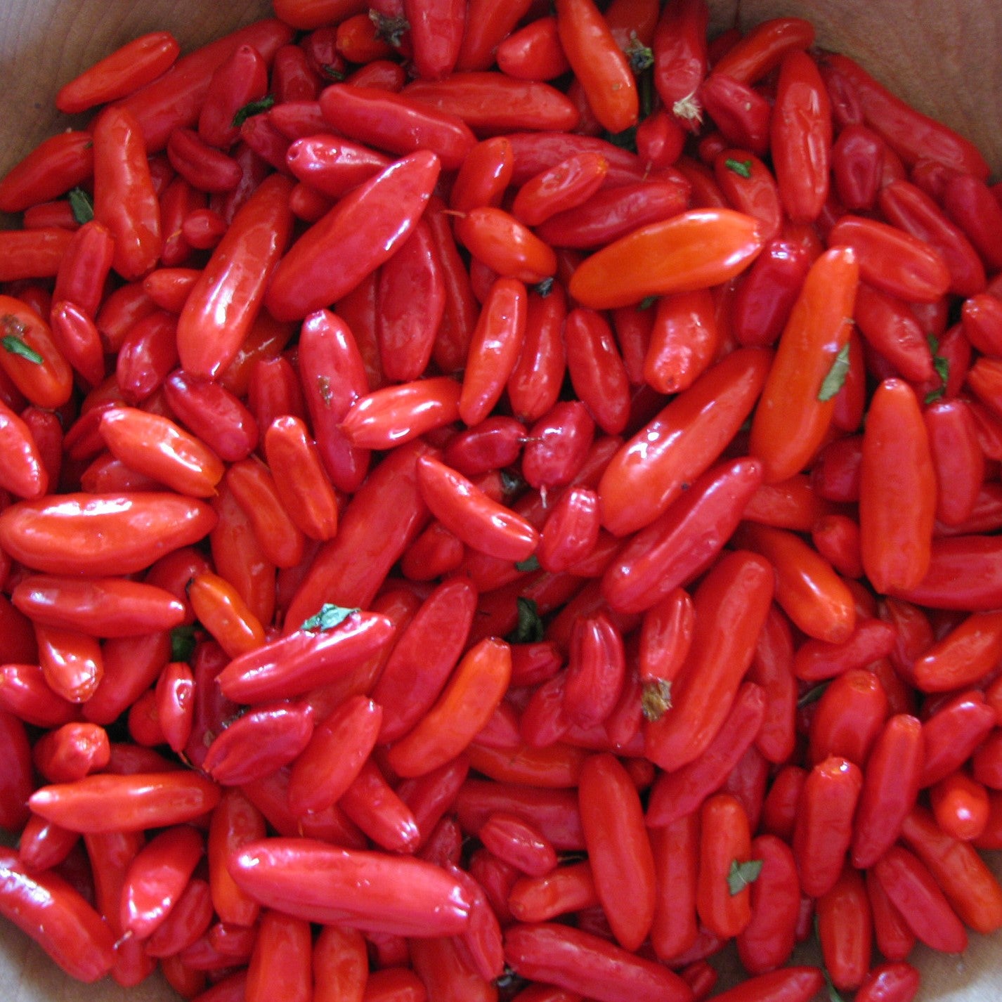 Tabasco