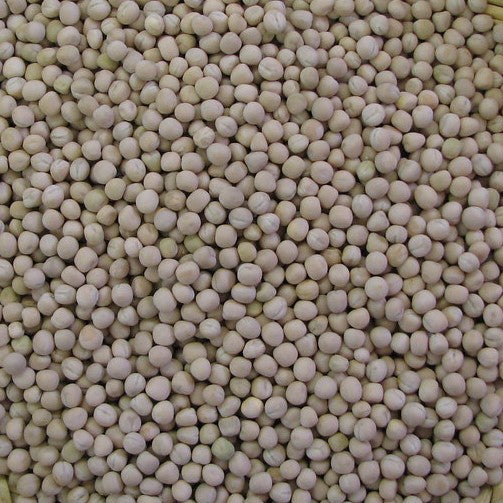 Taos Pea