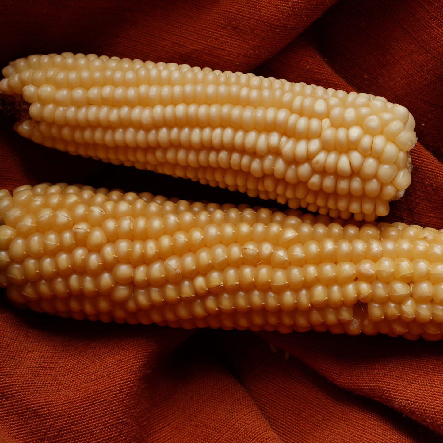 Rarámuri Pepitillo
