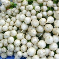 White Egg